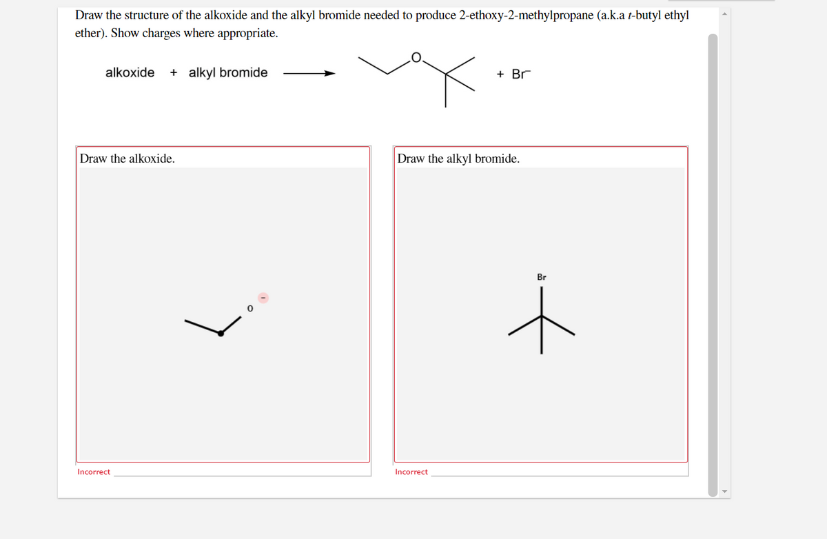 Draw the structure of the alkoxide and the alkyl bromide needed to produce 2-ethoxy-2-methylpropane (a.k.a t-butyl ethyl
ether). Show charges where appropriate.
alkoxide
+ alkyl bromide
+ Br
Draw the alkoxide.
Draw the alkyl bromide.
Br
Incorrect
Incorrect
