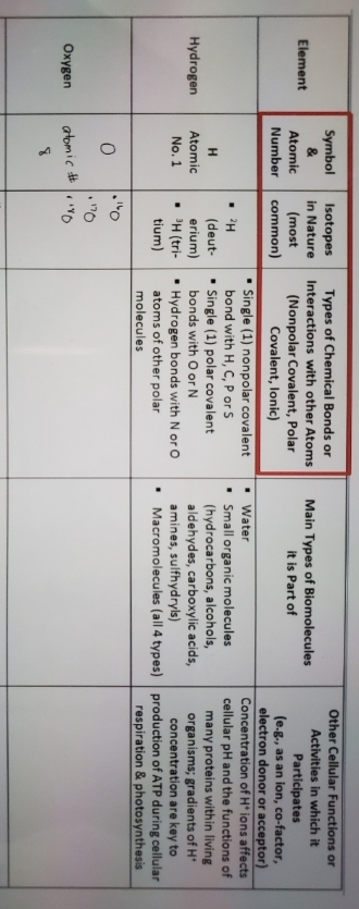 Other Cellular Functions or
Isotopes
in Nature
(most
common)
Types of Chemical Bonds or
Symbol
&
Activities in which it
Interactions with other Atoms
Main Types of Biomolecules
it is Part of
Element
Participates
(e.g., as an lon, co-factor,
electron donor or acceptor)
Concentration of H ions affects
cellular pH and the functions of
(Nonpolar Covalent, Polar
Covalent, lonic)
Atomic
Number
• Water
• Small organic molecules
(hydrocarbons, alcohols,
aldehydes, carboxylic acids,
amines, sulfhydryls)
• Macromolecules (all 4 types)
Single (1) nonpolar covalent
bond with H, C, P or S
Single (1) polar covalent
. ?H
many proteins within living
organisms; gradients of H*
concentration are key to
production of ATP during cellular
respiration & photosynthesis
(deut-
Hydrogen
erium)
• H (tri-
Atomic
bonds with O or N
No. 1
• Hydrogen bonds with N or O
tium)
atoms of other polar
molecules
Oxygen
atomic #
