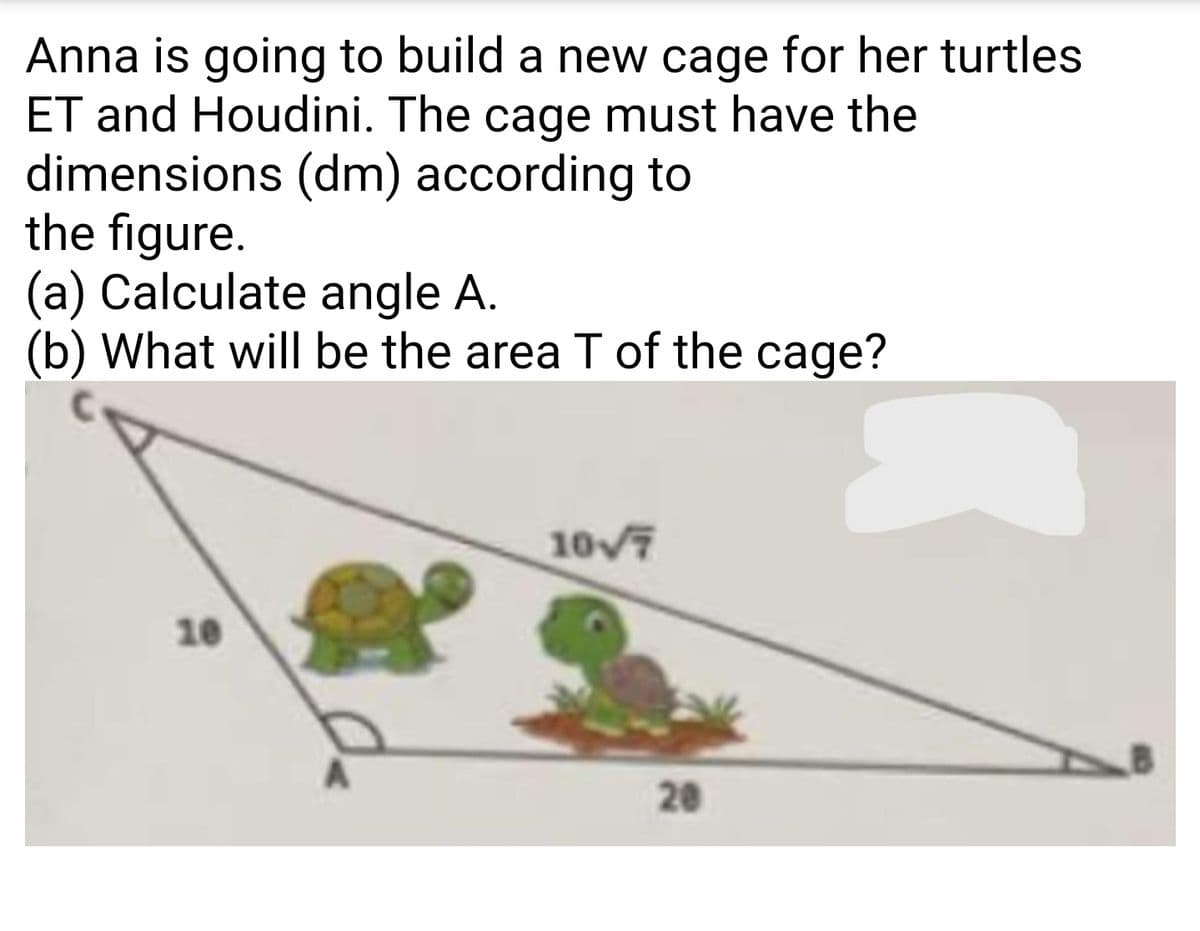 Anna is going to build a new cage for her turtles
ET and Houdini. The cage must have the
dimensions (dm) according to
the figure.
(a) Calculate angle A.
(b) What will be the area T of the cage?
10
10√7
20