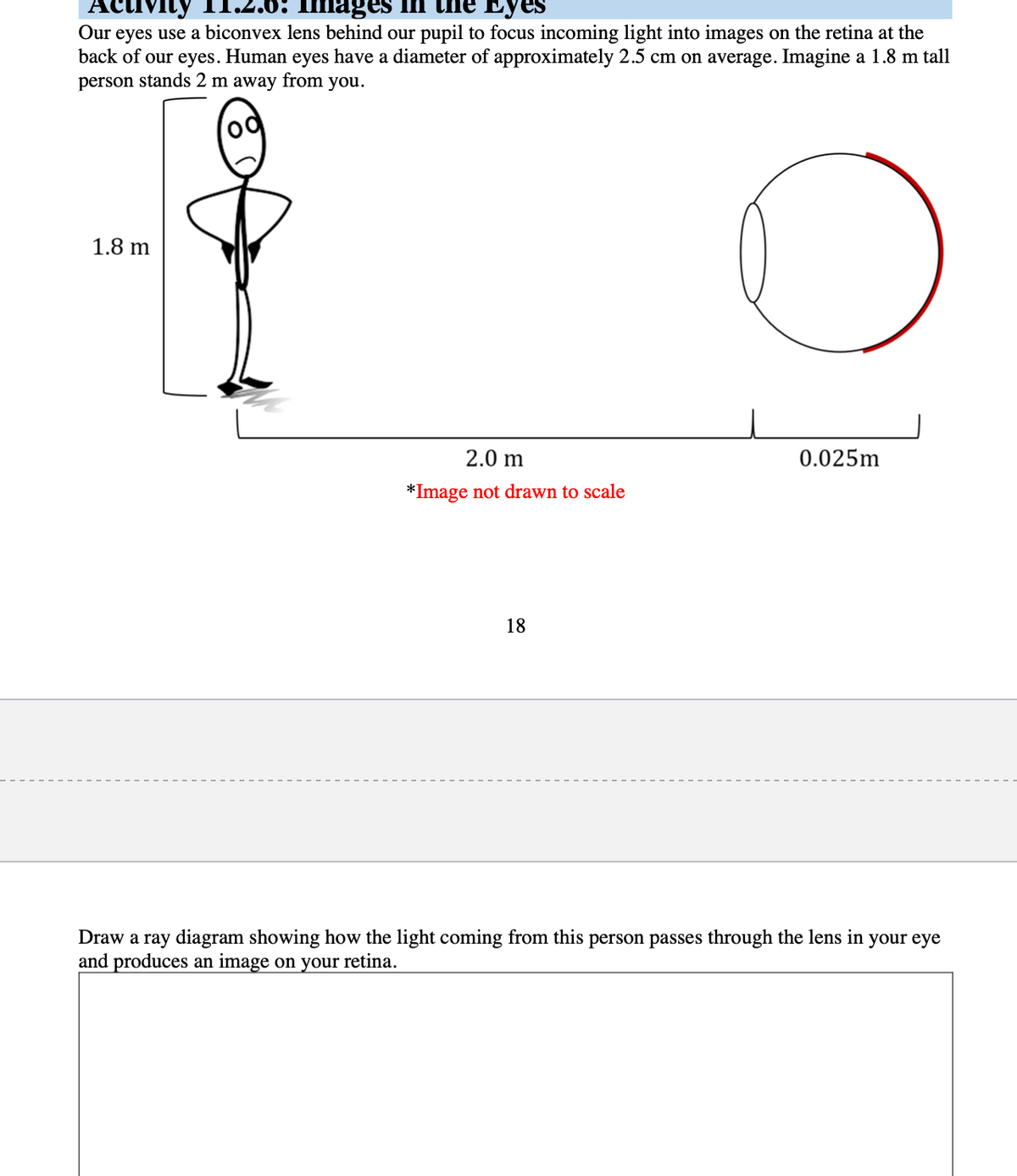 0: Images
Еyes
Acuvity
Our eyes use a biconvex lens behind our pupil to focus incoming light into images on the retina at the
back of our eyes. Human eyes have a diameter of approximately 2.5 cm on average. Imagine a 1.8 m tall
person stands 2 m away from you.
1.8 m
2.0 m
0.025m
*Image not drawn to scale
18
Draw a ray diagram showing how the light coming from this person passes through the lens in your eye
and produces an image on your retina.
