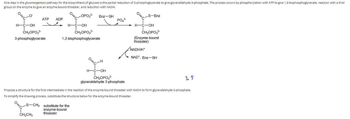 One step in the gluconeogenesis pathway for the biosynthesis of glucose is the partial reduction of 3-phosphoglycerate to give glyceraldehyde 3-phosphate. The process occurs by phosphorylation with ATP to give 1,3-bisphosphoglycerate, reaction with a thiol
group on the enzyme to give an enzyme-bound thioester, and reduction with NADH.
O
-OPO3²-
H-C-OH
ATP ADP
CH₂OPO3²-
3-phosphoglycerate
80-8-0
CH₂CH3
H-C-OH
Enz-SH
CH₂OPO3²-
1,3-bisphosphoglycerate
-S-CH3 substitute for the
enzyme-bound
thioester
O=C
-H
H-C-OH
I
CH₂OPO3²-
PO4³-
3-
O=C
S-Enz
H-C-OH
I
CH₂OPO3²-
(Enzyme-bound
thioester)
NADH/H+
NAD*, Enz-SH
glyceraldehyde 3-phosphate
Propose a structure for the first intermediate in the reaction of the enzyme-bound thioester with NADH to form glyceraldehyde 3-phosphate.
To simplify the drawing process, substitute the structure below for the enzyme-bound thioester.
27