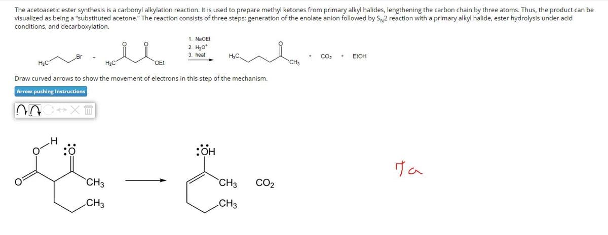 The acetoacetic ester synthesis is a carbonyl alkylation reaction. It is used to prepare methyl ketones from primary alkyl halides, lengthening the carbon chain by three atoms. Thus, the product can be
visualized as being a "substituted acetone." The reaction consists of three steps: generation of the enolate anion followed by SN2 reaction with a primary alkyl halide, ester hydrolysis under acid
conditions, and decarboxylation.
Br
H₂C
H3C
1. NaOEt
2. H₂O*
3. heat
H₂C.
OEt
Draw curved arrows to show the movement of electrons in this step of the mechanism.
Arrow-pushing Instructions
H
X
CO2
CH3
+
EtOH
:OH
На
CH3
CO2
CH3
CH3
CH3