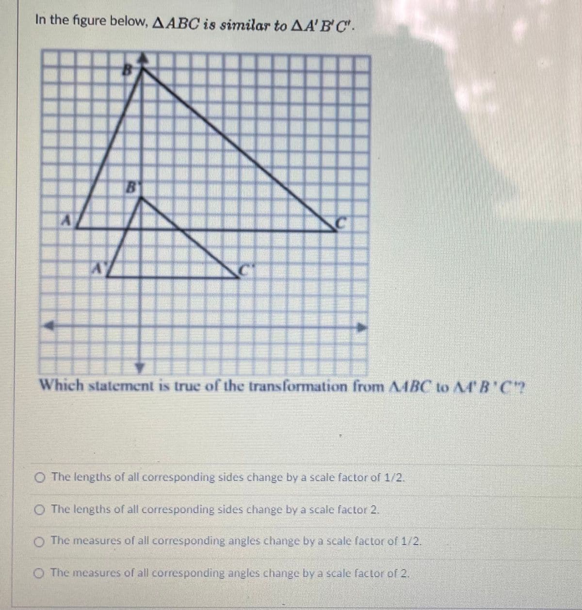 In the figure below, AABC is similar to AA'B'C.
BY
Which statement is true of the transformation from AMBC to A4' B'C?
O The lengths of all corresponding sides change by a scale factor of 1/2,
O The lengths of all corresponding sides change by a scale factor 2.
O The measures of all corresponding angles change by a scale factor of 1/2.
The measures of all corresponding angles change by a scale factor of 2.
