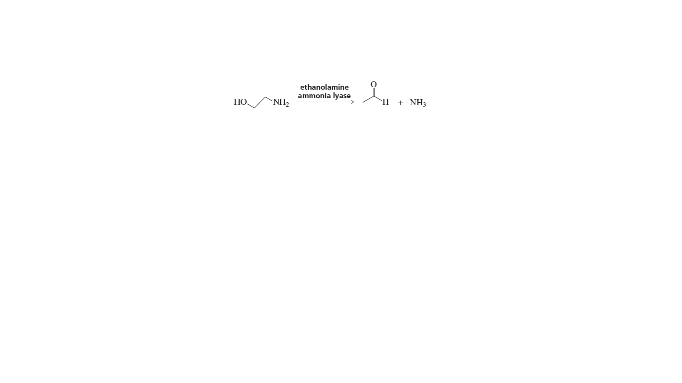 ethanolamine
ammonia lyase
HO.
`NH2
`H + NH3
