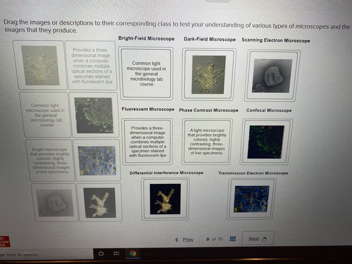 Drag the images or descriptions to their corresponding class to test your understanding of various types of microscopes and the
images that they produce.
Bright-Field Microscope
Dark-Field Microscope Scanning Electron Microscope
Provides a three-
dimensional image
when a computer
combines multiple
optical sections of a
specimen stained
with fluorescent dye
Common light
microscope used in
the general
microbiology lab
course
Common light
microscope used in
the general
microbiology lab
course
Fluorescent Microscope Phase Contrast Microscope
Confocal Microscope
Provides a three-
dimensional image
when a computer
combines multiple
optical sections of a
specimen stained
with fluorescent dye
A light microscope
that provides brightly
colored, highly
contrasting, three-
dimensional images
of live specimens
A light microscope
that provides brightly
colored, highly
contrasting, three-
dimensional images
of live specimens
Differential Interference Microscope
Transmission Electron Microscope
< Prev
9 of 15
Next
raw
Hil
pe here to search
