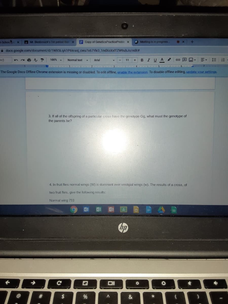 n Schook
A M. Biesbrouck's 1st period Biol x
A Copy of GeneticsPracticeProble x
O Meeting is in progress.
a docs.google.com/document/d/1WX5LqA1P6krasj_cwu7x67Yle3_1ndXoXxITZW9ubJo/edit#
100%
Normal text
Arlal
11
BIU A
E 1 2 3 4 5 6
7
The Google Docs Offline Chrome extension is missing or disabled. To edit offline, enable the extension. To disable offline editing, update your settings.
3. If all of the offspring of a particular cross have the genotype Gg, what must the genotype of
the parents be?
4. In fruit flies normal wings (W) is dominant over vestigial wings (w). The results of a cross, of
two fruit flies, give the following results:
Normal wing 793
の
@
#3
2$
