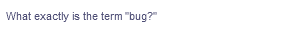 What exactly is the term "bug?"
