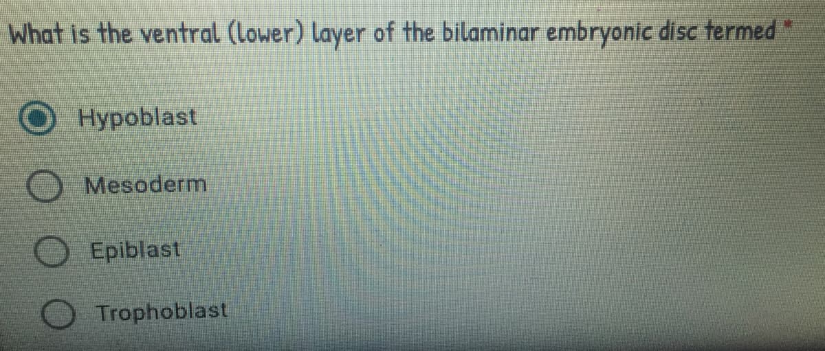 What is the ventral (lower) layer of the bilaminar embryonic disc termed
Нуpoblast
Mesoderm
Epiblast
Trophoblast
