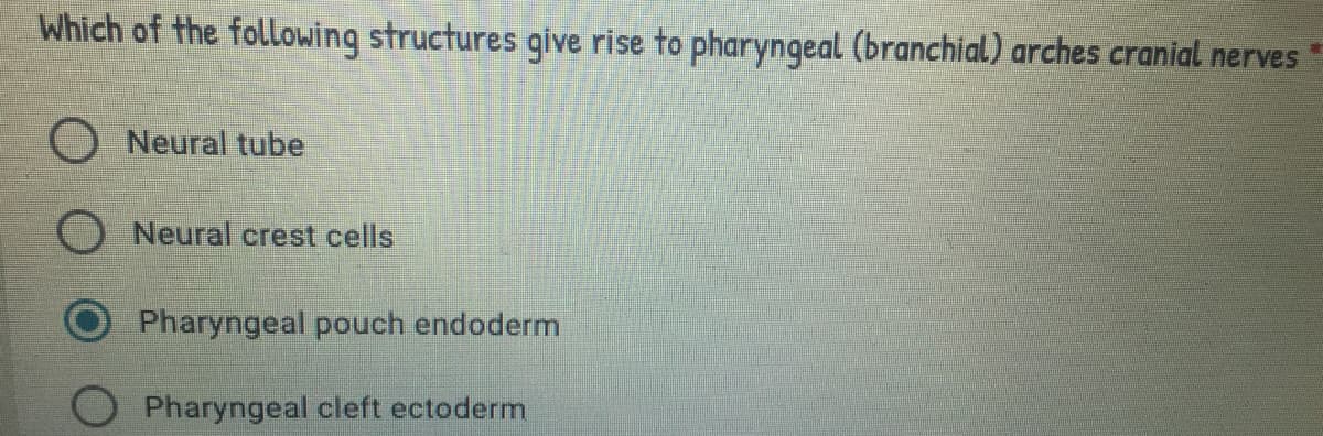 Which of the following structures give rise to pharyngeal (branchial) arches cranial nerves
O Neural tube
Neural crest cells
Pharyngeal pouch endoderm
Pharyngeal cleft ectoderm
