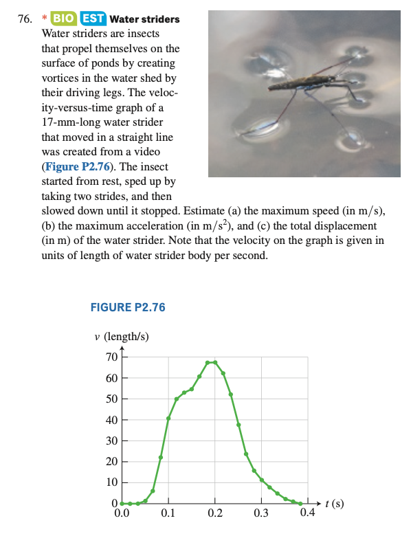 76. BIO EST Water striders
Water striders are insects
that propel themselves on the
surface of ponds by creating
vortices in the water shed by
their driving legs. The veloc-
ity-versus-time graph of a
17-mm-long water strider
that moved in a straight line
was created from a video
(Figure P2.76). The insect
started from rest, sped up by
taking two strides, and then
slowed down until it stopped. Estimate (a) the maximum speed (in m/s),
(b) the maximum acceleration (in m/s²), and (c) the total displacement
(in m) of the water strider. Note that the velocity on the graph is given in
units of length of water strider body per second.
FIGURE P2.76
v (length/s)
70
60
50
40
30
20
10
0
0.0
0.1
0.2
0.3
→t(s)
0.4