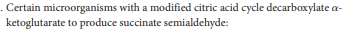 . Certain microorganisms with a modified citric acid cycle decarboxylate a-
ketoglutarate to produce succinate semialdehyde:
