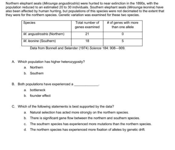 Northern elephant seals (Mirounga angustirostris) were hunted to near extinction in the 1890s, with the
population reduced to an estimated 20 to 30 individuals. Southern elephant seals (Mirounga leonina) have
also been affected by human hunting, but populations of this species were not decimated to the extent that
they were for the northern species. Genetic variation was examined for these two species.
Species
Total number of
# of genes with more
genes examined
than one allele
M. angustirostris (Northern)
M. leonine (Southern)
Data from Bonnell and Selander (1974) Science 184: 908–909.
21
18
A. Which population has higher heterozygosity?
a. Northern
b. Southern
B. Both populations have experienced a
a. bottleneck
b. founder effect
c. Which of the following statements is best supported by the data?
a. Natural selection has acted more strongly on the northern species.
b. There is significant gene flow between the northern and southern species.
c. The southern species has experienced more mutations than the northern species.
d. The northern species has experienced more fixation of alleles by genetic drift.
