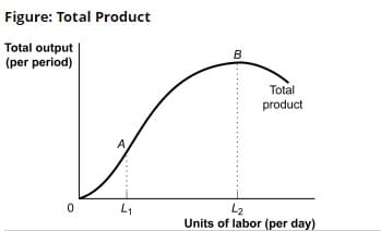 Figure: Total Product
Total output
(per period)
Total
product
L2
Units of labor (per day)
L1
