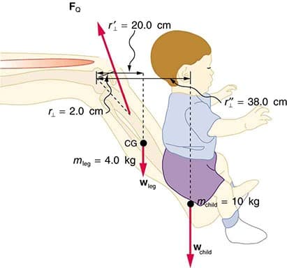 Fa
r = 20.0 cm
" = 38.0 cm
r = 2.0 cm
CG
mg = 4.0 kg
Donia = 10 kg
W
child
