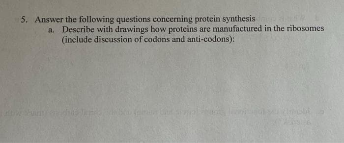 5. Answer the following questions concerning protein synthesis
a. Describe with drawings how proteins are manufactured in the ribosomes
(include discussion of codons and anti-codons):
