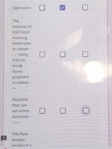 Open pore
The
removal of
H20 from
reacting
molecules
is called-
-. Using
H20 to
break
down
polymers
is called-
Reaction
that can
run either
direction
The fluid
mosaic
model of aA
