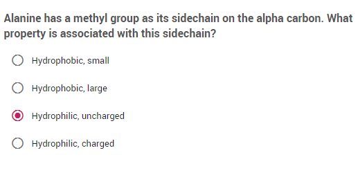 Alanine has a methyl group as its sidechain on the alpha carbon. What
property is associated with this sidechain?
Hydrophobic, small
Hydrophobic, large
Hydrophilic, uncharged
O Hydrophilic, charged
