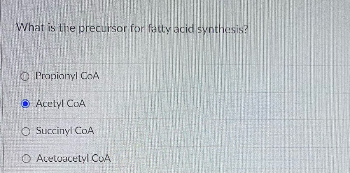 What is the precursor for fatty acid synthesis?
O Propionyl CoA
O Acetyl CoA
O Succinyl CoA
O Acetoacetyl CoA
