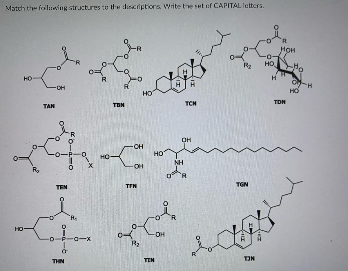 Match the following structures to the descriptions. Write the set of CAPITAL letters.
R.
Нон
R2
HO
HO
R
H
OH
R.
HO
H-40
HO
TBN
TCN
TDN
TAN
OH
OH
0-P-O
HO
HO
NH
OH
R2
R
TEN
TFN
TGN
R1
R.
но
OH
0-P-O-
R2
THN
TIN
TJN
