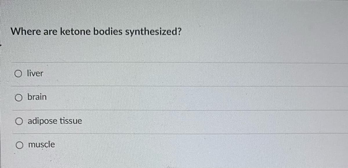 Where are ketone bodies synthesized?
O liver
O brain
O adipose tissue
O muscle
