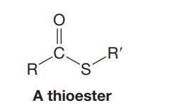 .C.
R
R'
A thioester
