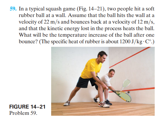 59. In a typical squash game (Fig. 14–21), two people hit a soft
rubber ball at a wall. Assume that the ball hits the wall at a
velocity of 22 m/s and bounces back at a velocity of 12 m/s,
and that the kinetic energy lost in the process heats the ball.
What will be the temperature increase of the ball after one
bounce? (The specific heat of rubber is about 1200 J/kg•C°.)
FIGURE 14-21
Problem 59.
