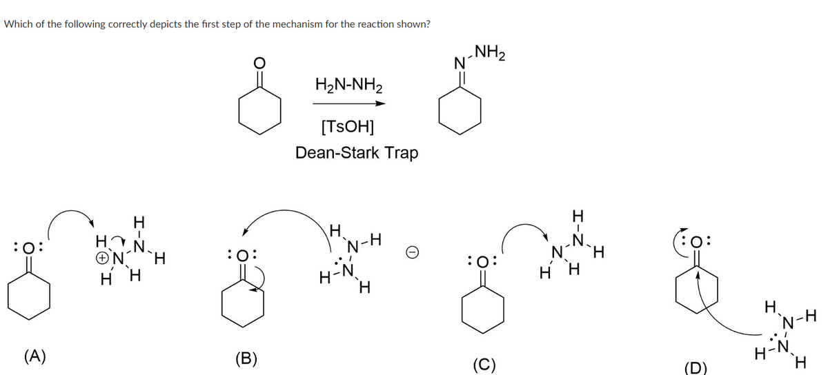 Which of the following correctly depicts the first step of the mechanism for the reaction shown?
:O:
(A)
ΘΙ
ez.
I
`H
:O:
(B)
H2N-NH2
[TSOH]
Dean-Stark Trap
H
N-H
H
NH₂
:O:
(C)
H
10:
H
`N- j-H
N
H