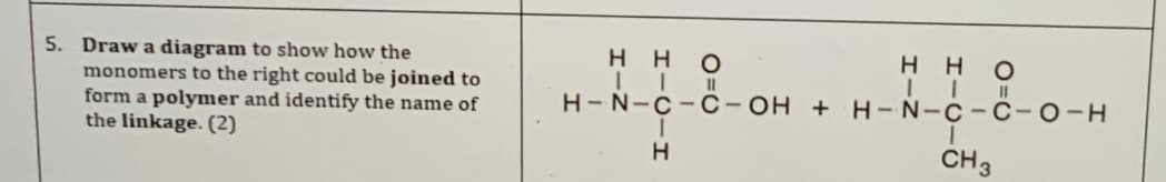 нно
H HO
5. Draw a diagram to show how the
monomers to the right could be joined to
form a polymer and identify the name of
the linkage. (2)
H-N-C-C-OH + H-N-C-C- 0-
H
CH3
