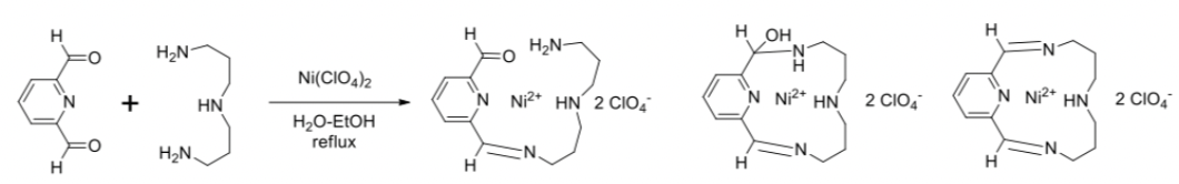 Н он
H
H2N-
H2N-
Ni(CIO4)2
N.
+
HN
N Ni2* HN´ 2 CIO,
N N2* HN
2 CIO,
'N N2* HN
2 CIO,
H20-ELOH
reflux
H2N.
N.
H
H
H.
