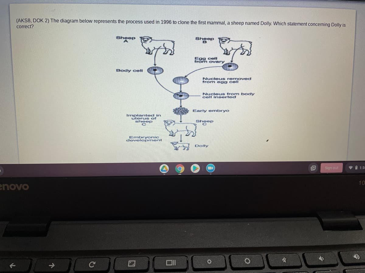 (AKS8, DOK 2) The diagram below represents the process used in 1996 to clone the first mammal, a sheep named Dolly. Which statement concerning Dolly is
correct?
Sheep
Sheep
Egg cell
from ovary
Body celI
Nucleus removed
from egg cell
Nucleus from body
cell inserted
Early embryo
Implanted in
uterus of
sheep
Sheep
Embryonic
devolopment
Dolly
Sign out
1 1:3.
10
enovo
