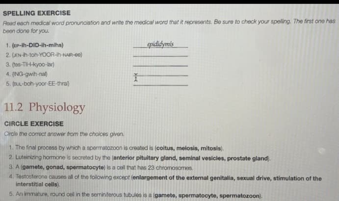 SPELLING EXERCISE
Read each medical word pronunciation and write the medical word that it represents. Be sure to check your spelling. The first one has
been done for you.
1. (EP-ih-DID-ih-mihs)
2. (JEN-ih-toh-YOOR-ih-NAIR-ee)
3. (tes-TIH-kyoo-lar)
4. (ING-gwih-nal)
5.
(BUL-boh-yoor-EE-thral)
11.2 Physiology
CIRCLE EXERCISE
Circle the correct answer from the choices given.
I
epididymis
1. The final process by which a spermatozoon is created is (coitus, meiosis, mitosis).
2. Luteinizing hormone is secreted by the (anterior pituitary gland, seminal vesicles, prostate gland).
3. A (gamete, gonad, spermatocyte) is a cell that has 23 chromosomes.
4. Testosterone causes all of the following except (enlargement of the external genitalia, sexual drive, stimulation of the
interstitial cells).
5. An immature, round cell in the seminiferous tubules is a (gamete, spermatocyte, spermatozoon).