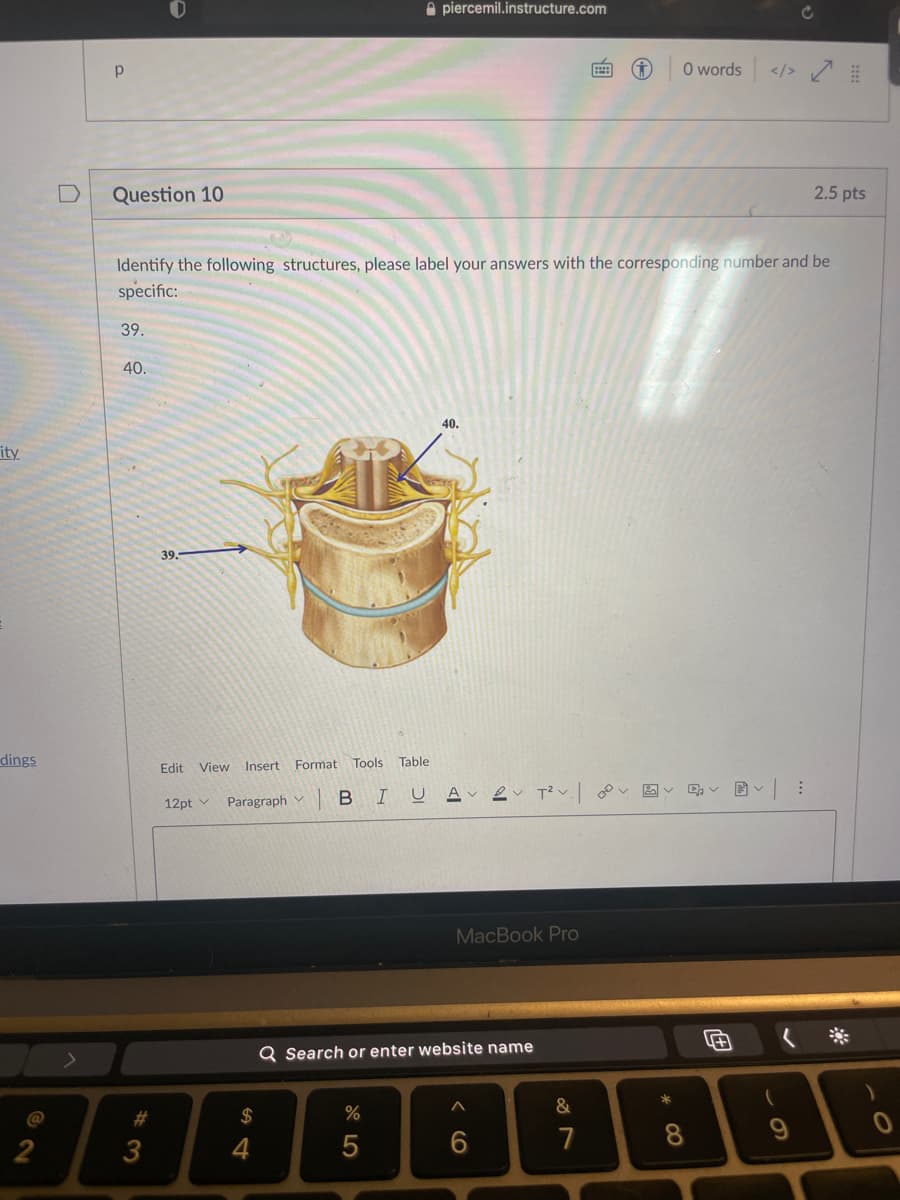 A piercemil.instructure.com
O words </>
p
Question 10
2.5 pts
Identify the following structures, please label your answers with the corresponding number and be
specific:
39.
40.
40.
ity
39.
dings
Table
Edit View Insert Format Tools
12pt v
Paragraph v
B
MacBook Pro
Q Search or enter website name
*
%23
2$
%
7
8.
2
3
4
