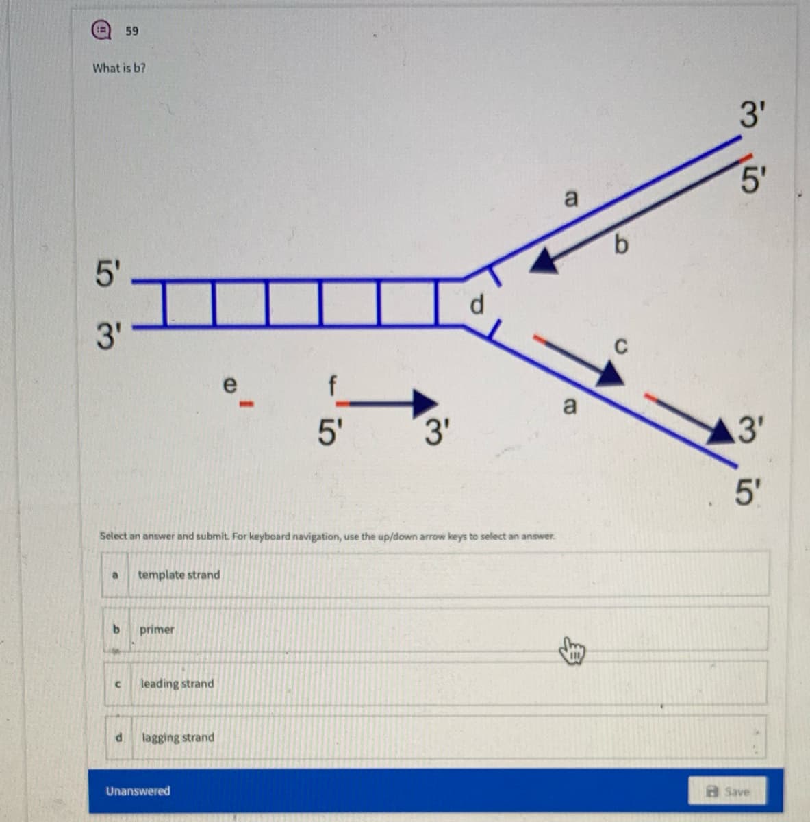 59
What is b?
3'
5'
a
9.
5'
3'
C
f
a
5'
3'
3'
5'
Select an answer and submit. For keyboard navigation, use the up/down arrow keys to select an answer.
a
template strand
b.
primer
leading strand
lagging strand
Unanswered
Save
