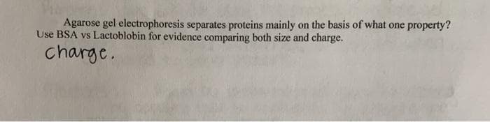 Agarose gel electrophoresis separates proteins mainly on the basis of what one property?
Use BSA vs Lactoblobin for evidence comparing both size and charge.
charge.
