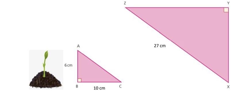 6cm
A
B
10 cm
C
N
27 cm
x