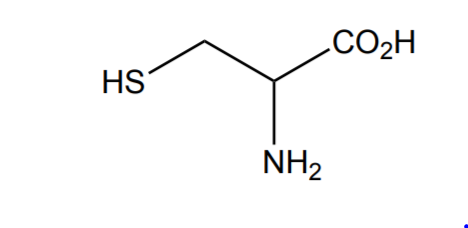 CO2H
HS
NH2
