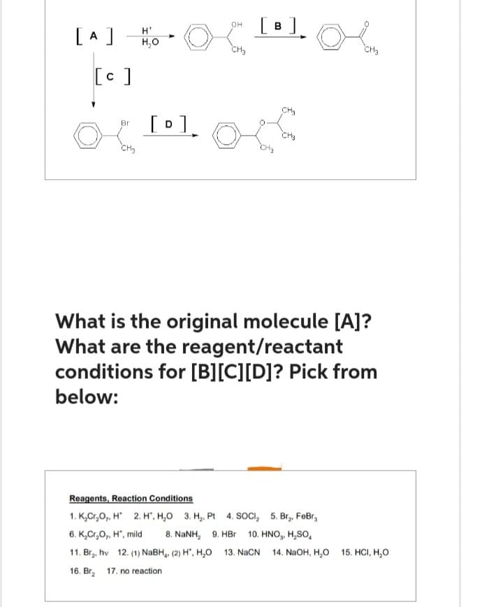 H'
[A] H₂O
[c]
Br
CH₂
[D]
OH
[0]. Ob
CH₂
CHg
What is the original molecule [A]?
What are the reagent/reactant
conditions for [B][C] [D]? Pick from
below:
Reagents, Reaction Conditions
1. K₂Cr₂O,, H 2. H, H₂O 3. H₂. Pt 4. SOCI₂ 5. Br₂, FeBr,
6. K₂Cr₂O,, H, mild 8. NaNH, 9. HBr 10. HNO₂, H₂SO
11. Br₂, hv 12. (1) NaBH, (2) H, H₂O
16. Br₂
17. no reaction
13. NaCN 14. NaOH, H₂O 15. HCI, H₂O