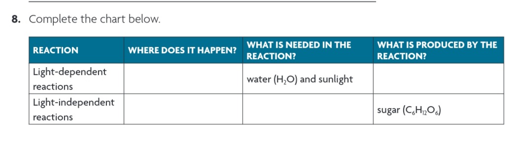 8. Complete the chart below.
REACTION
Light-dependent
reactions
Light-independent
reactions
WHERE DOES IT HAPPEN?
WHAT IS NEEDED IN THE
REACTION?
water (H₂O) and sunlight
WHAT IS PRODUCED BY THE
REACTION?
sugar (C6H₁₂O6)