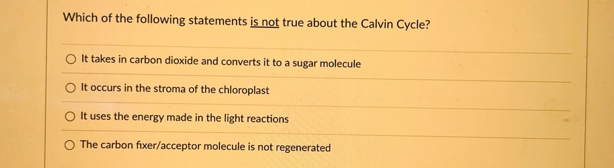 Which of the following statements is not true about the Calvin Cycle?
O It takes in carbon dioxide and converts it to a sugar molecule
O It occurs in the stroma of the chloroplast
It uses the energy made in the light reactions
The carbon fixer/acceptor molecule is not regenerated