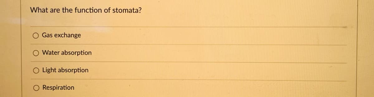 What are the function of stomata?
Gas exchange
O Water absorption
Light absorption
O Respiration