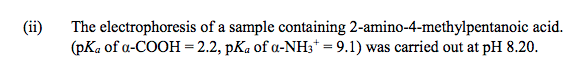 (ii)
The electrophoresis of a sample containing 2-amino-4-methylpentanoic acid.
(pKa of a-COOH = 2.2, pKa of a-NH3* = 9.1) was carried out at pH 8.20.
%3D
