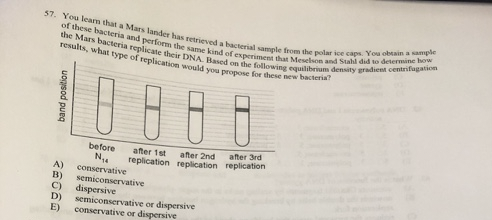 57. You learn that a Mars lander has retrieved a bacterial sample from the polar ice caps. You obtain a sample
of these bacteria and perform the same kind of experiment that Meselson and Stahl did to determine how
the Mars bacteria replicate their DNA. Based on the following equilibrium density gradient centrifugation
results, what type of replication would you propose for these new bacteria?
band position
28060
8 8
before after 1st
N₁4
after 2nd
replication replication
A)
conservative
B) semiconservative
dispersive
C)
D) semiconservative or dispersive
E) conservative or dispersive
after 3rd
replication