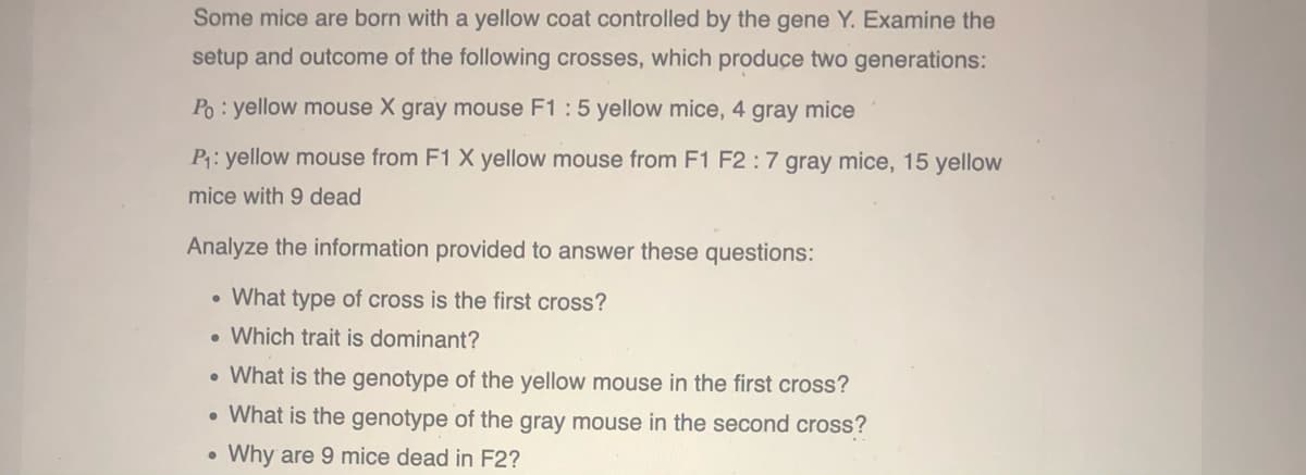 Some mice are born with a yellow coat controlled by the gene Y. Examine the
setup and outcome of the following crosses, which produce two generations:
Po: yellow mouse X gray mouse F1 :5 yellow mice, 4 gray mice
P: yellow mouse from F1 X yellow mouse from F1 F2 : 7 gray mice, 15 yellow
mice with 9 dead
Analyze the information provided to answer these questions:
• What type of cross is the first cross?
• Which trait is dominant?
• What is the genotype of the yellow mouse in the first cross?
• What is the genotype of the gray mouse in the second cross?
Why are 9 mice dead in F2?
