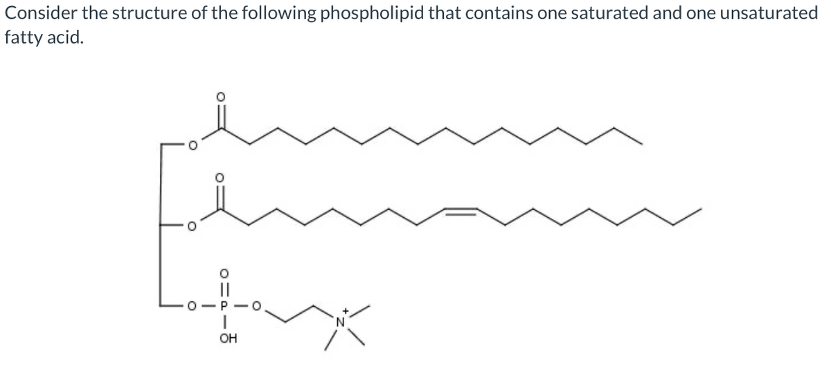 Consider the structure of the following phospholipid that contains one saturated and one unsaturated
fatty acid.
°
OH