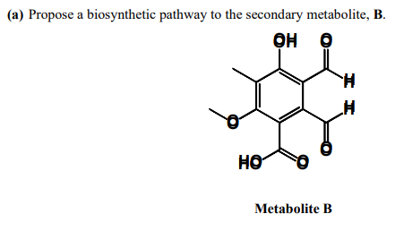 (a) Propose a biosynthetic pathway to the secondary metabolite, B.
OH
H.
HO
Metabolite B
I I
