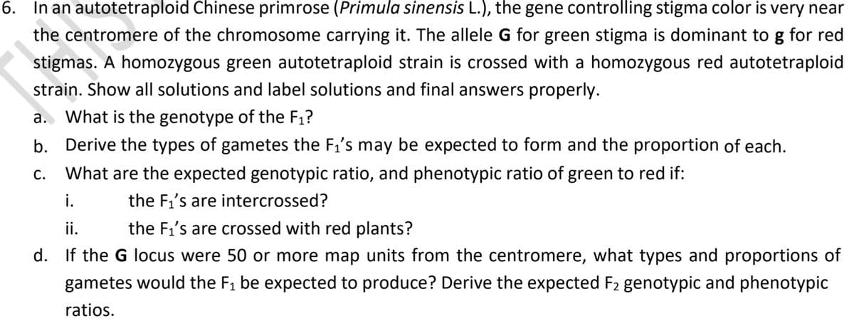 6. In an autotetraploid Chinese primrose (Primula sinensis L.), the gene controlling stigma color is very near
the centromere of the chromosome carrying it. The allele G for green stigma is dominant to g for red
stigmas. A homozygous green autotetraploid strain is crossed with a homozygous red autotetraploid
strain. Show all solutions and label solutions and final answers properly.
a. What is the genotype of the F1?
b. Derive the types of gametes the F1's may be expected to form and the proportion of each.
C.
What are the expected genotypic ratio, and phenotypic ratio of green to red if:
i.
the F1's are intercrossed?
ii.
the F1's are crossed with red plants?
d. If the G locus were 50 or more map units from the centromere, what types and proportions of
gametes would the F1 be expected to produce? Derive the expected F2 genotypic and phenotypic
ratios.
