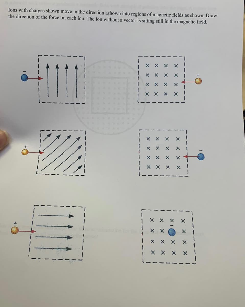 Ions with charges shown move in the direction ashown into regions of magnetic fields as shown. Draw
the direction of the force on each ion. The ion without a vector is sitting still in the magnetic field.
X X
X X
| X x x
