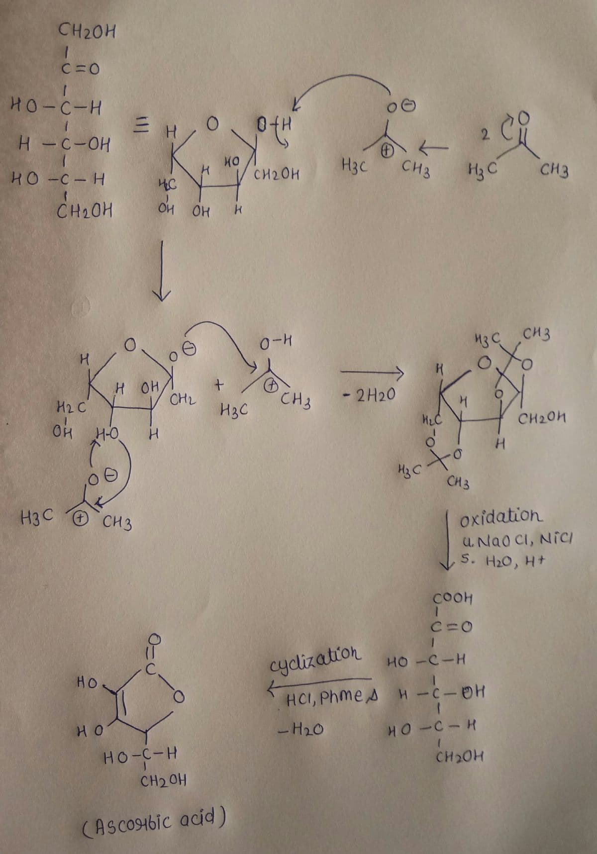 CH20H
C=0
HO-C-H
2
H-C-OH
CH2OH
H3C
CH3
H3 C
CH3
HO C-H
HC
CH20H
43CCH3
H OH
CHL
CH3
- 2 H20
H2 C
H3C
CH20H
Ok HO
CH3
oxidation
U Nao CI, NICI
S. H20, H+
H3C
CH3
COOH
C=0
HO -C-H
cyclization
HO
HCI, Phme s H-C-OH
но
- H20
HO-C-H
HO-C-H
CH2OH
CH2OH
(Asco4bic acid )
