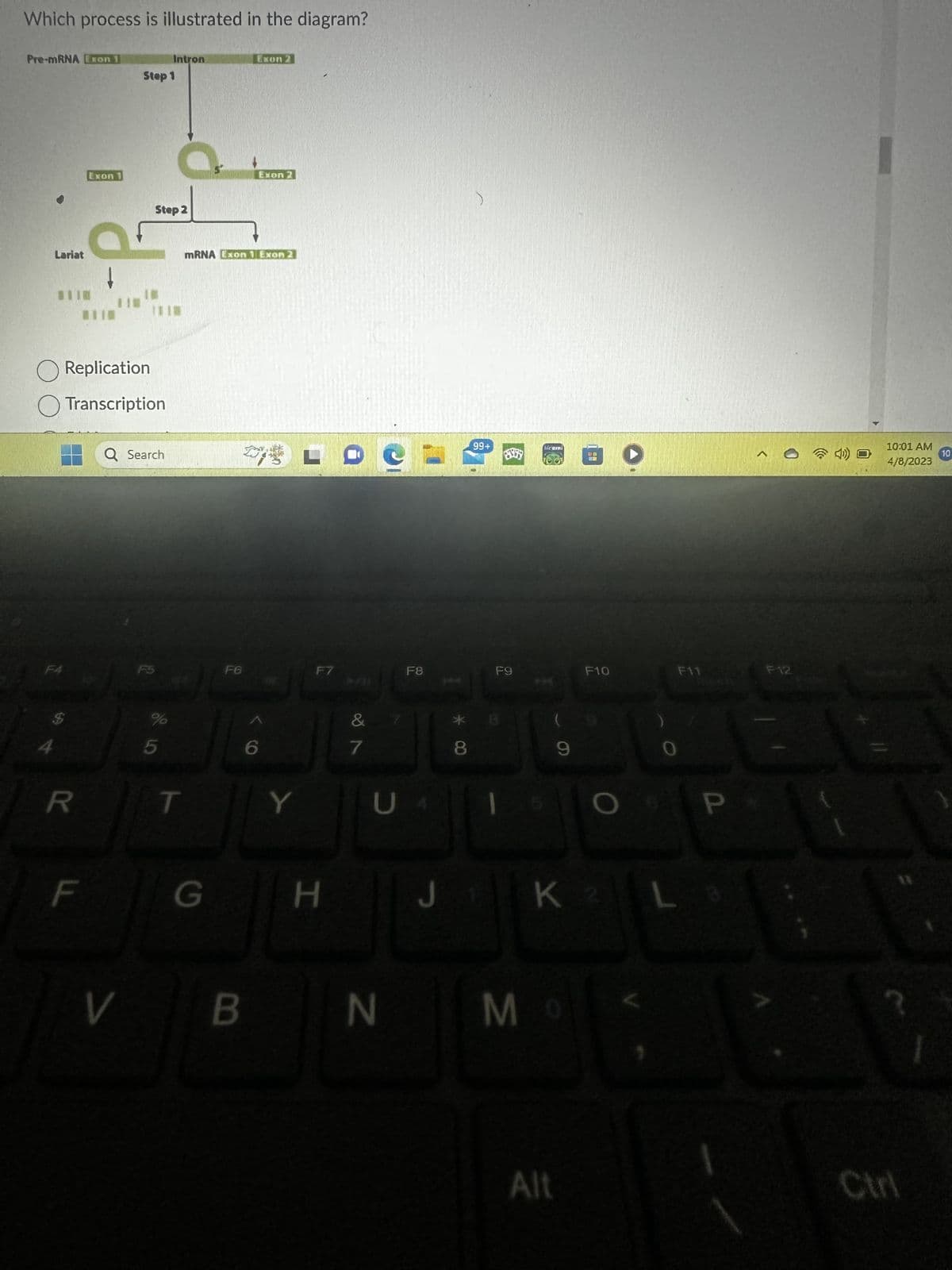 Which process is illustrated in the diagram?
Pre-mRNA ron
Lariat
BI
F4
Exon 1
O Replication
R
C
F
Step 1
Transcription
Step 2
Intron
Q Search
5
T
mRNA Eon 1 Exon 2
G
Exon 2
F6
Elon
Y
F7
H
&
7
U
F8
*00
*
8
99+
J₁
85
F9
ALTER
9
B
5 O
V BN MO
Alt
F10
K 2
F11
0
L
P
<
F12
10:01 AM
4/8/2023
Ctrl
10