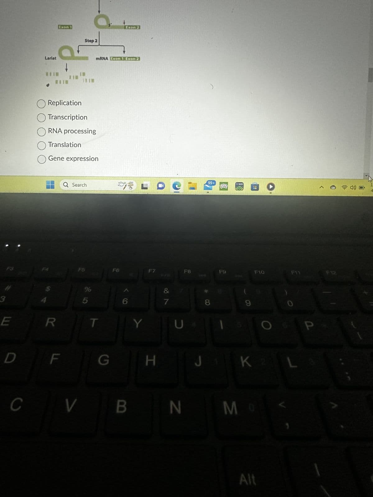 3
E
D
C
Lariat
xon 1
of
R
O Replication
Transcription
LL
Step 2
RNA processing
Translation
O Gene expression
Q Search
V
F5
%
5
mRNA Exon 1 Exon 2
T
G
Exon 2
F6
Y
F7
H
&
7
e-
U
F8
99+
*
J
F9
koral
8
F10
K 2 L
BN MO
Alt
P
F12
1